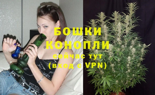 трава Кулебаки