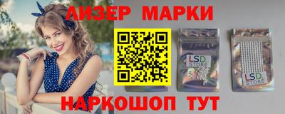 прущие грибы Абакан