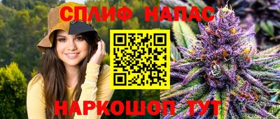 прущие грибы Абакан