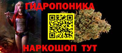 соль ск Гагарин