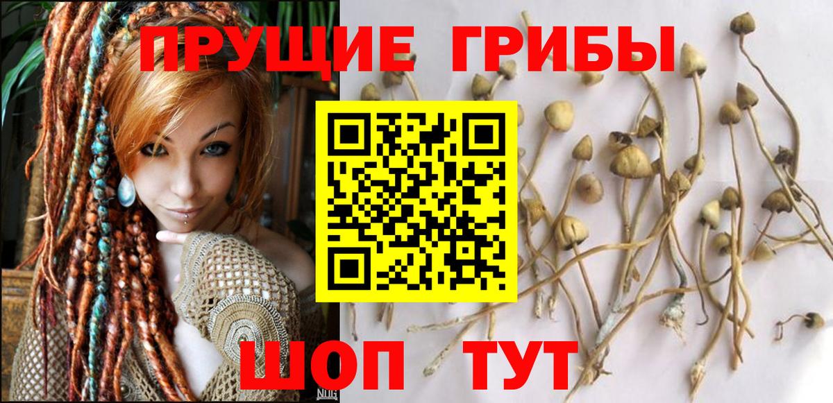Псилоцибиновые грибы прущие грибы  Вход с VPN  Ангарск 