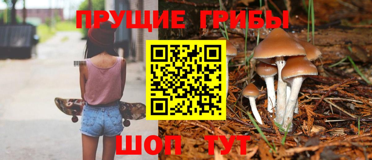 Галлюциногенные грибы прущие грибы Ангарск