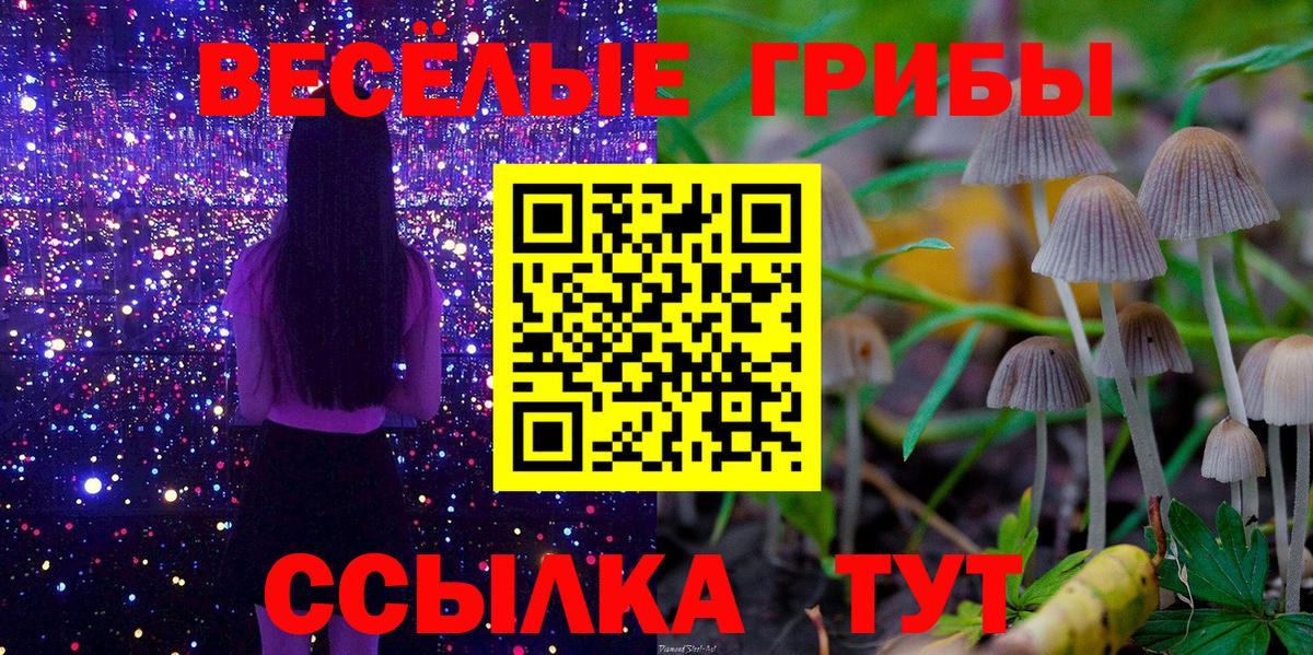 Галлюциногенные грибы GOLDEN TEACHER Ангарск